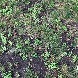 Meet your Posher, Mohammed